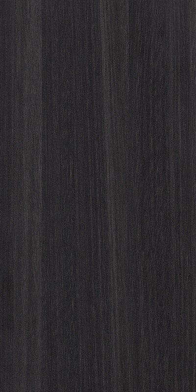 CB008 BLACK ELM