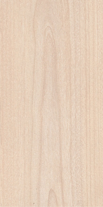 CBL583 RADIANT MAPLE