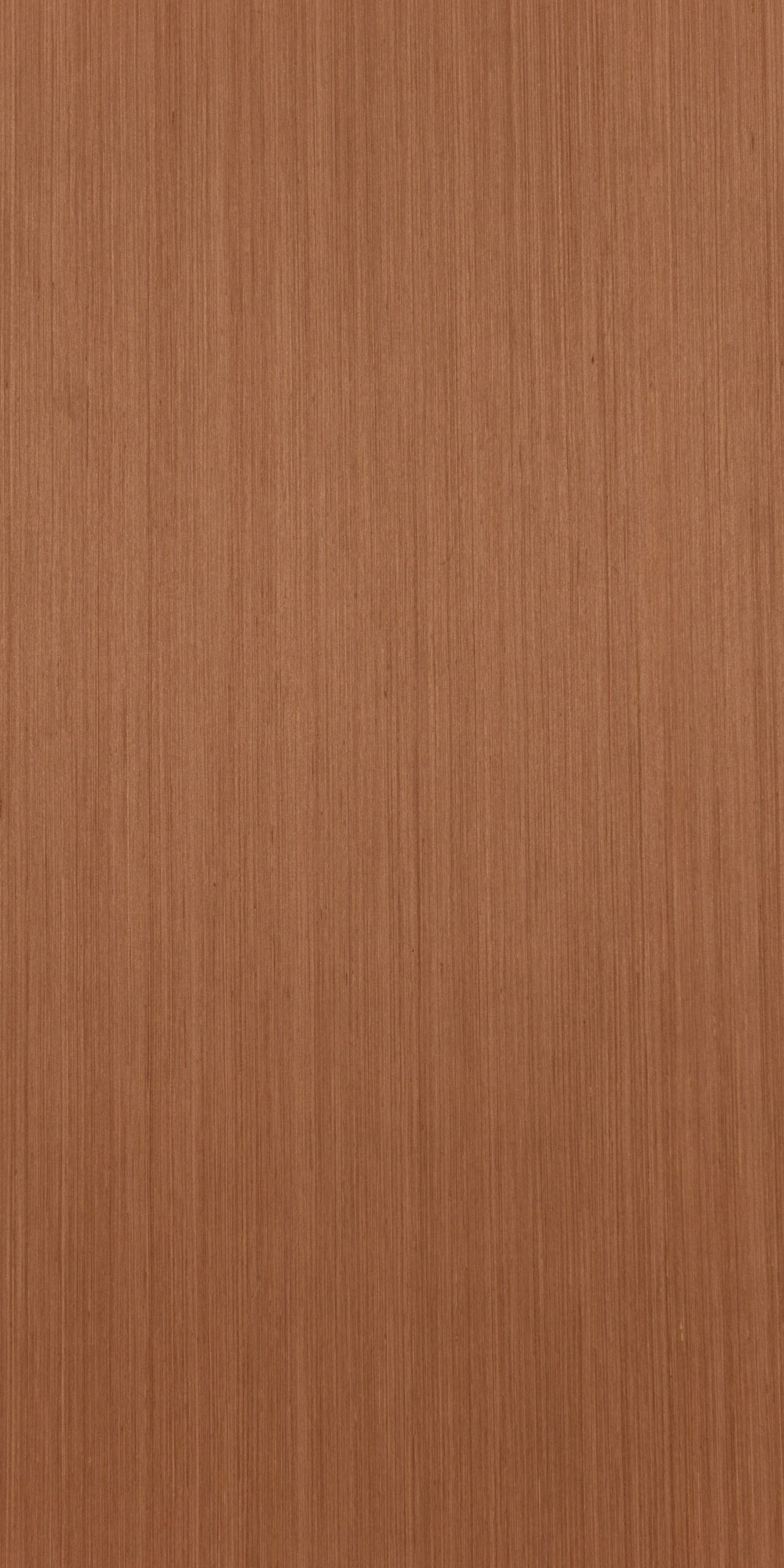 269 QC RECON. SAPELE