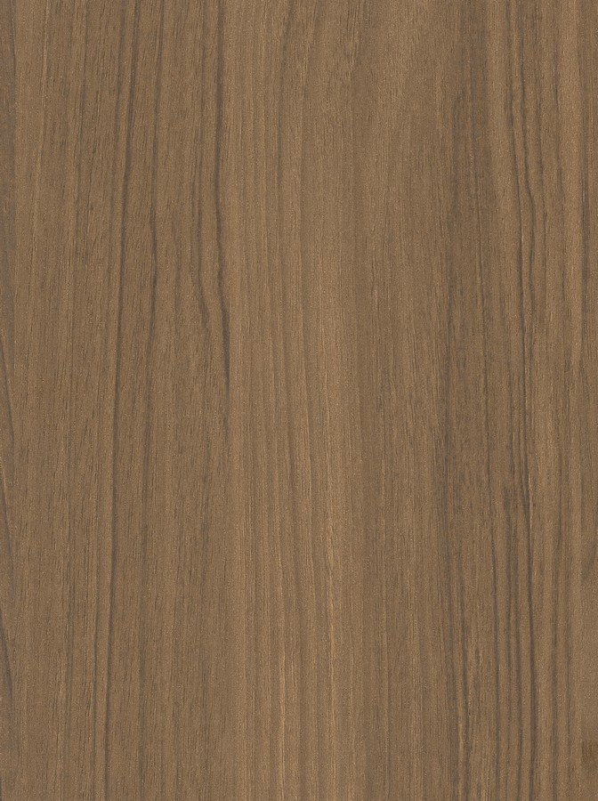 CNW6917 PRISM TEAK
