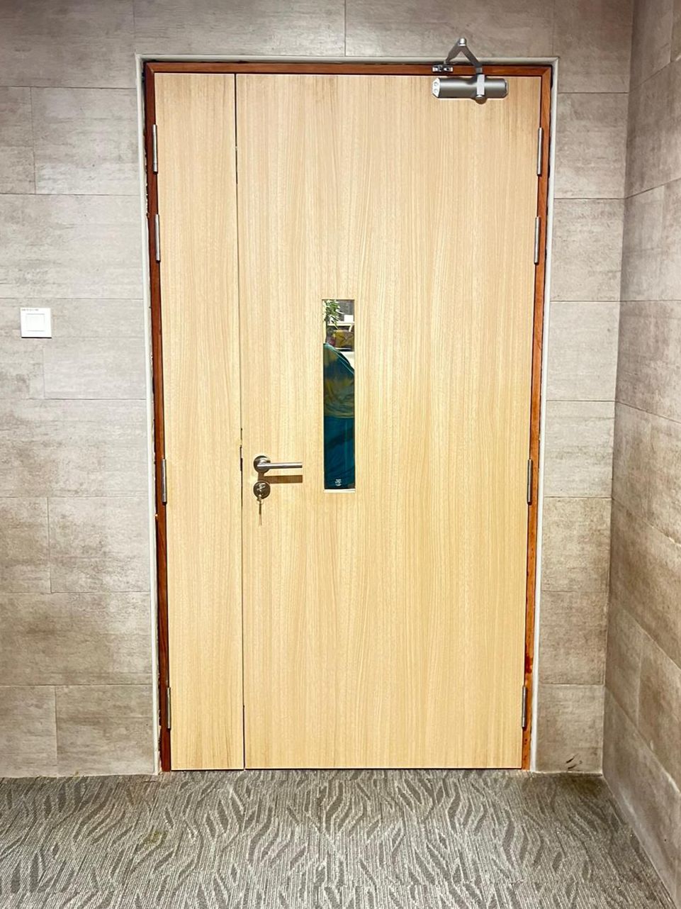 Fire Rated Door with glass / without glass ( office/factory/commercial)